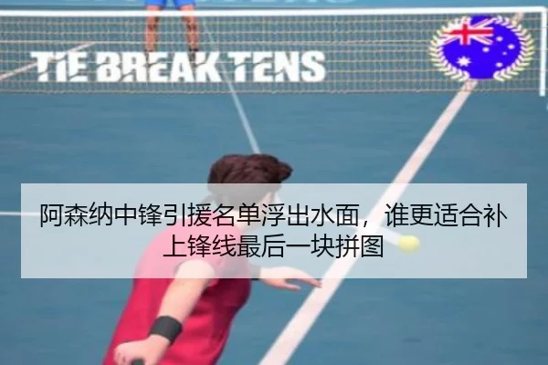阿森纳中锋引援名单浮出水面，谁更适合补上锋线最后一块拼图 - zfwx